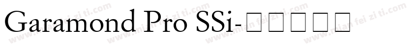 Garamond Pro SSi字体转换